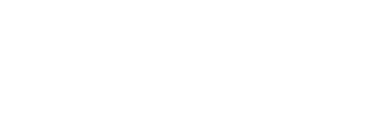 White background.