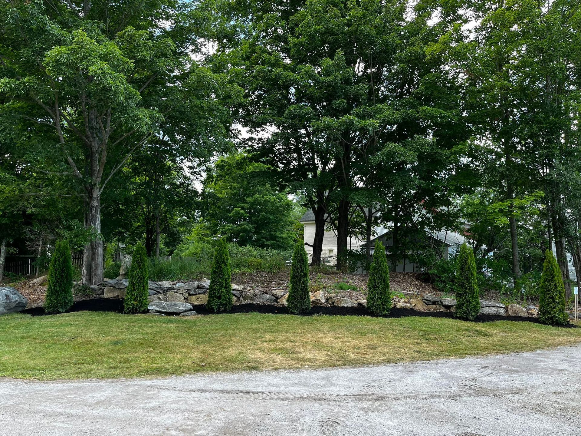 Green arborvitae trees line a rock border with black mulch, in front of lush trees.