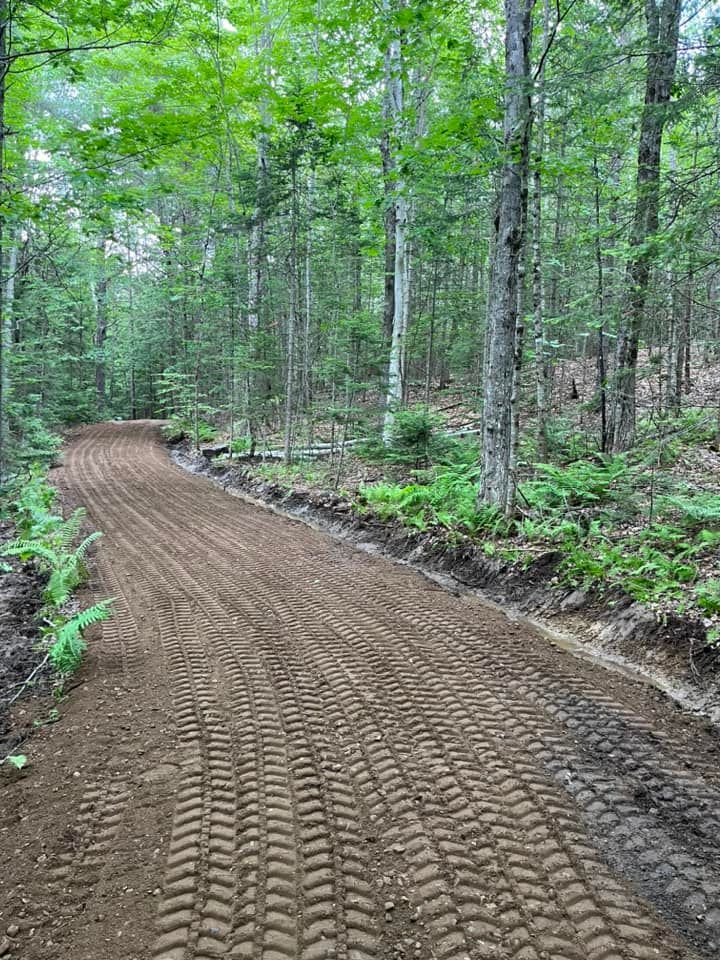 Dirt road through a green forest, freshly graded with tire tracks.