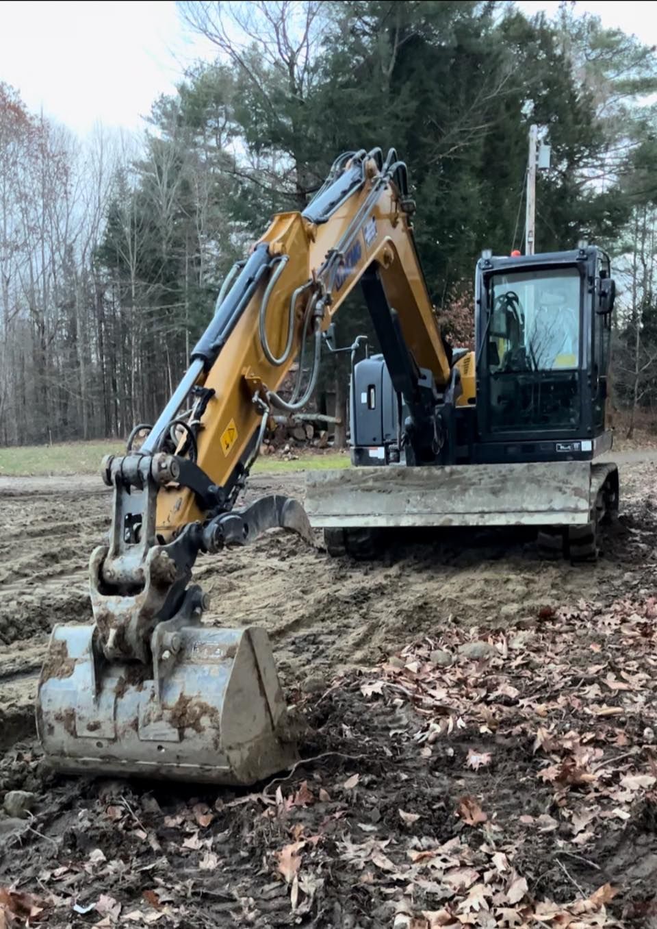 Yellow and black excavator digging in dirt, with trees in the background.
