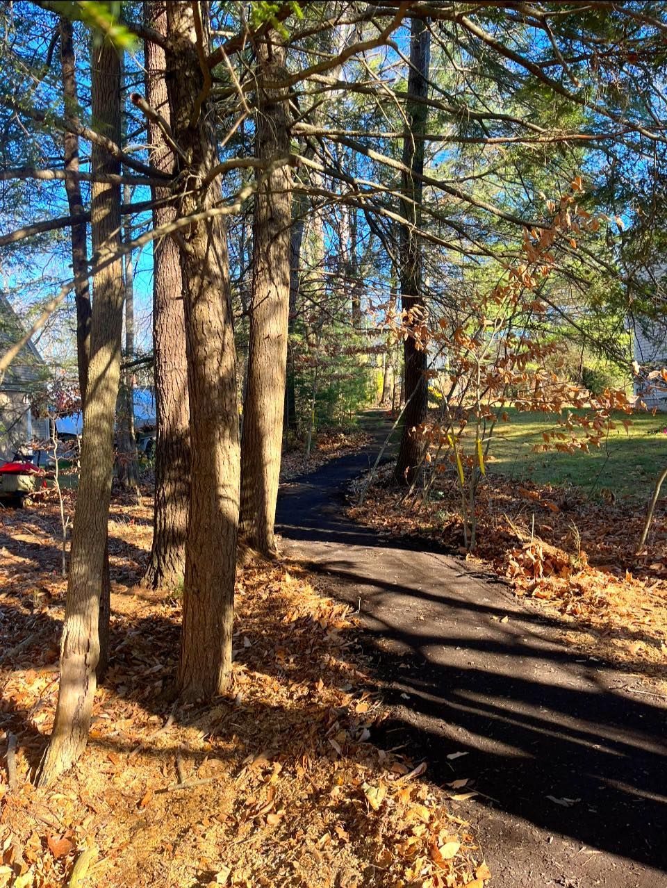 Paved path through trees with fallen leaves, sunlight casting shadows.