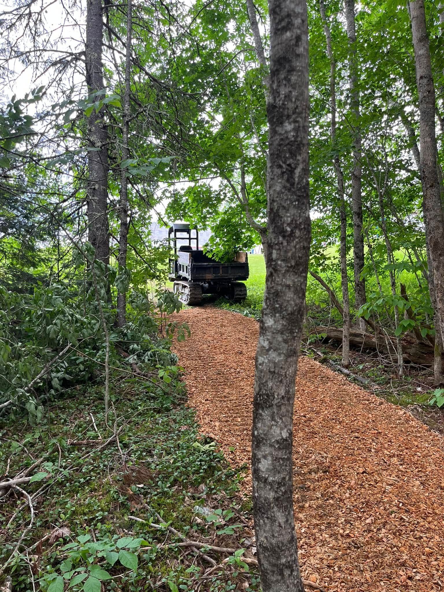 Wood-chipped path through a forest; a small excavator sits at the end of the trail.