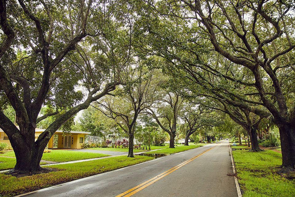 AJ Ryan Realty buys and sells real estate in Broward county and all of south Florida
