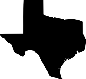 A black silhouette of the state of Nevada on a white background.