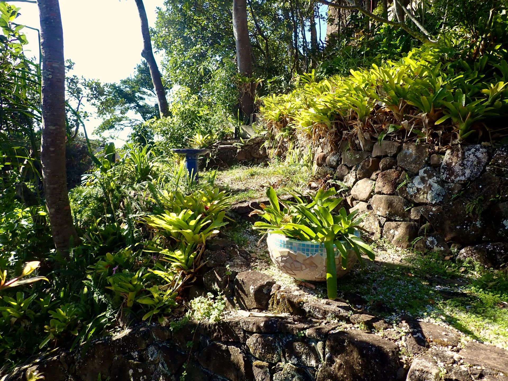 Sunny forest trail with stone steps, lush green plants, and a rocky hillside.