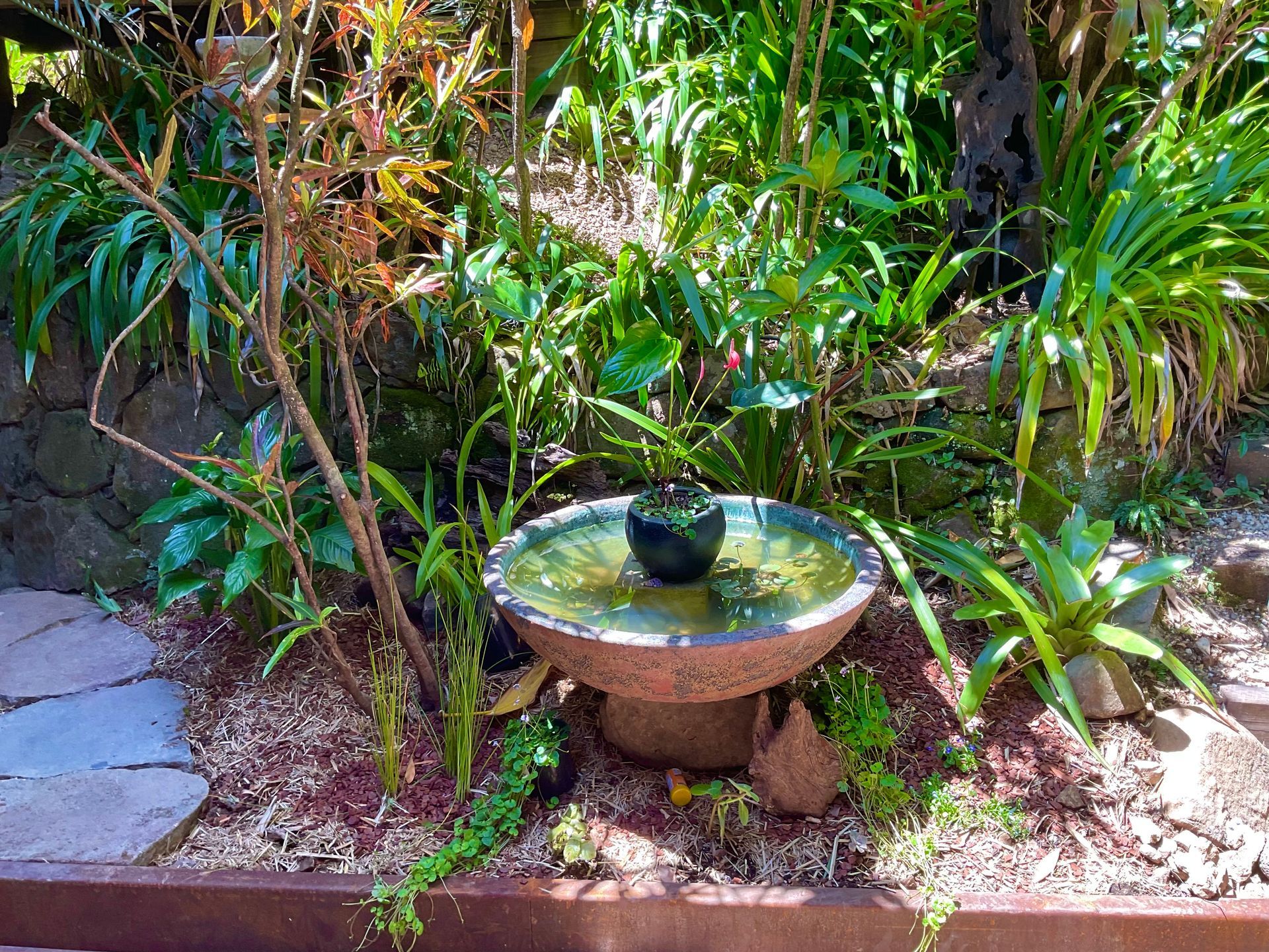 Small garden fountain with water bowl amid lush tropical plants and stone path