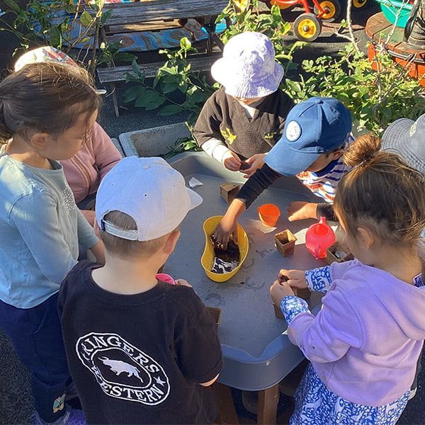 A group of children are playing with blocks— Mt Ousley Pre School in Fairy Meadow, NSW