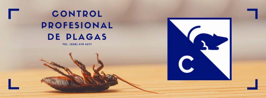  CHÁVEZ CONTROL DE PLAGAS