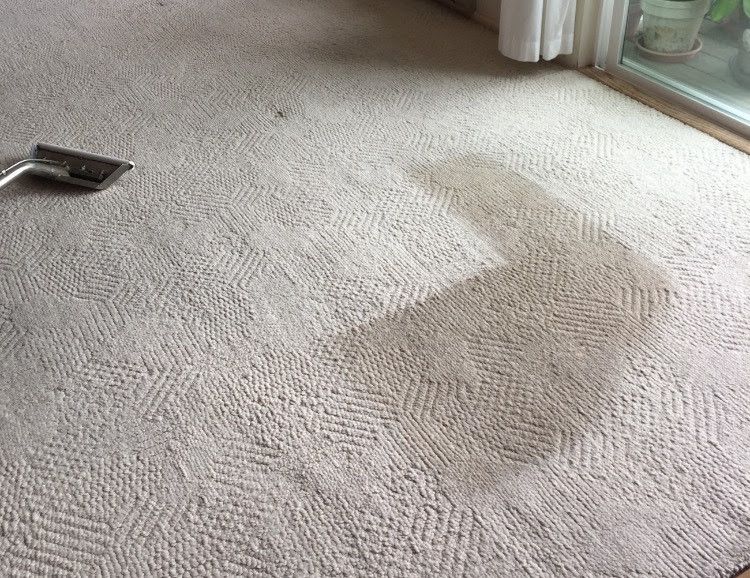 Xtreme Carpet & Tile Cleaning Sandpoint, ID