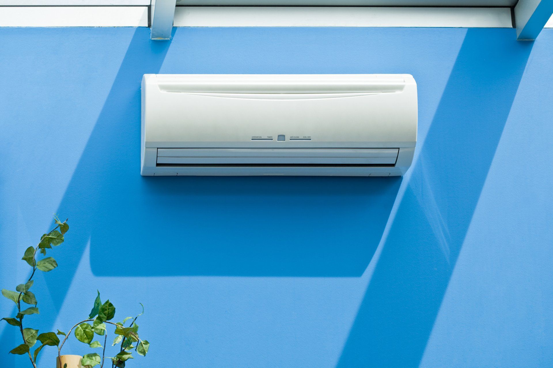 Un condizionatore d'aria bianco a parete, installato su una parete blu brillante accanto a una piccola pianta verde.