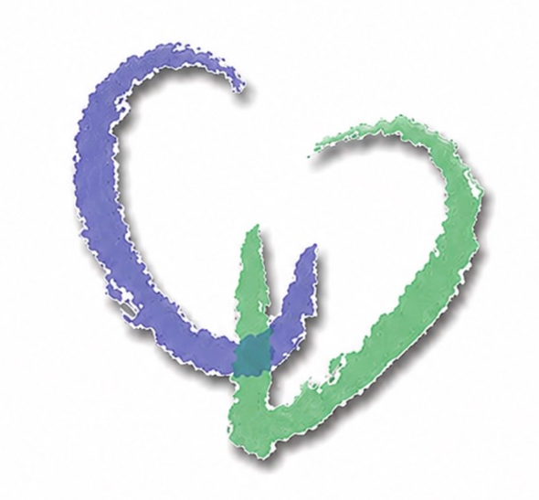 Abstract blue and green brushstroke heart-like logo on a white background