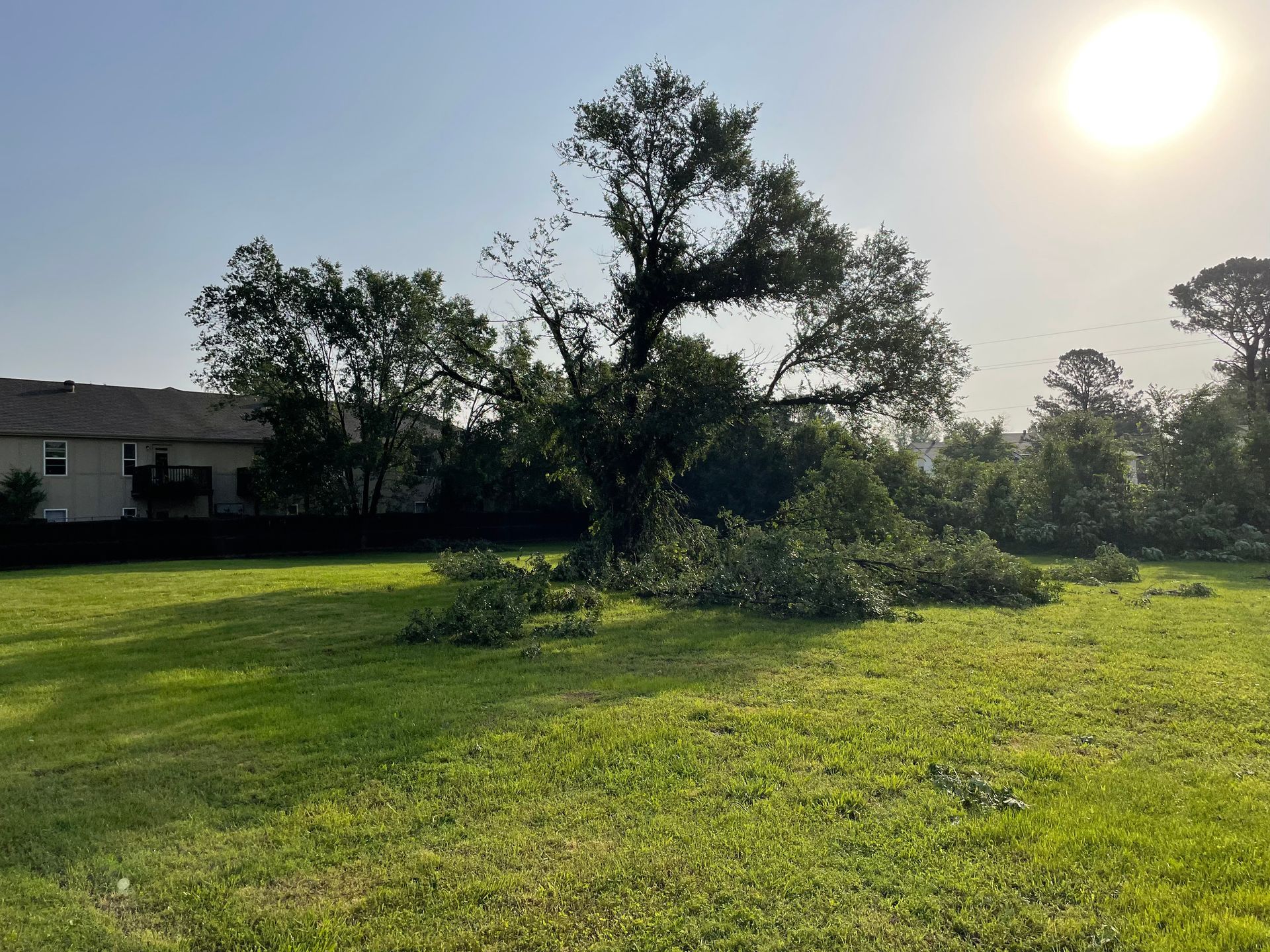 Tornado Damage