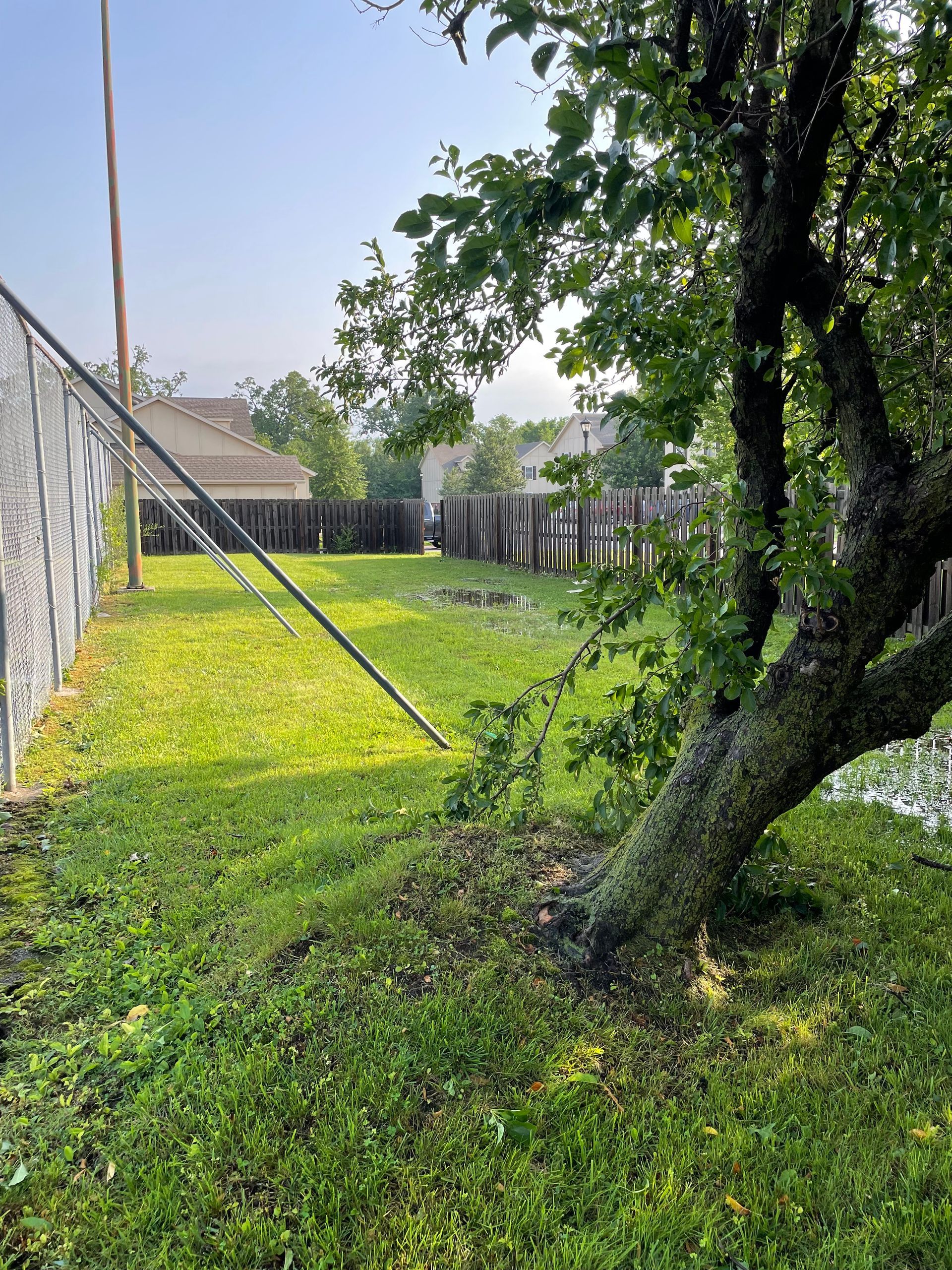 Tornado Damage