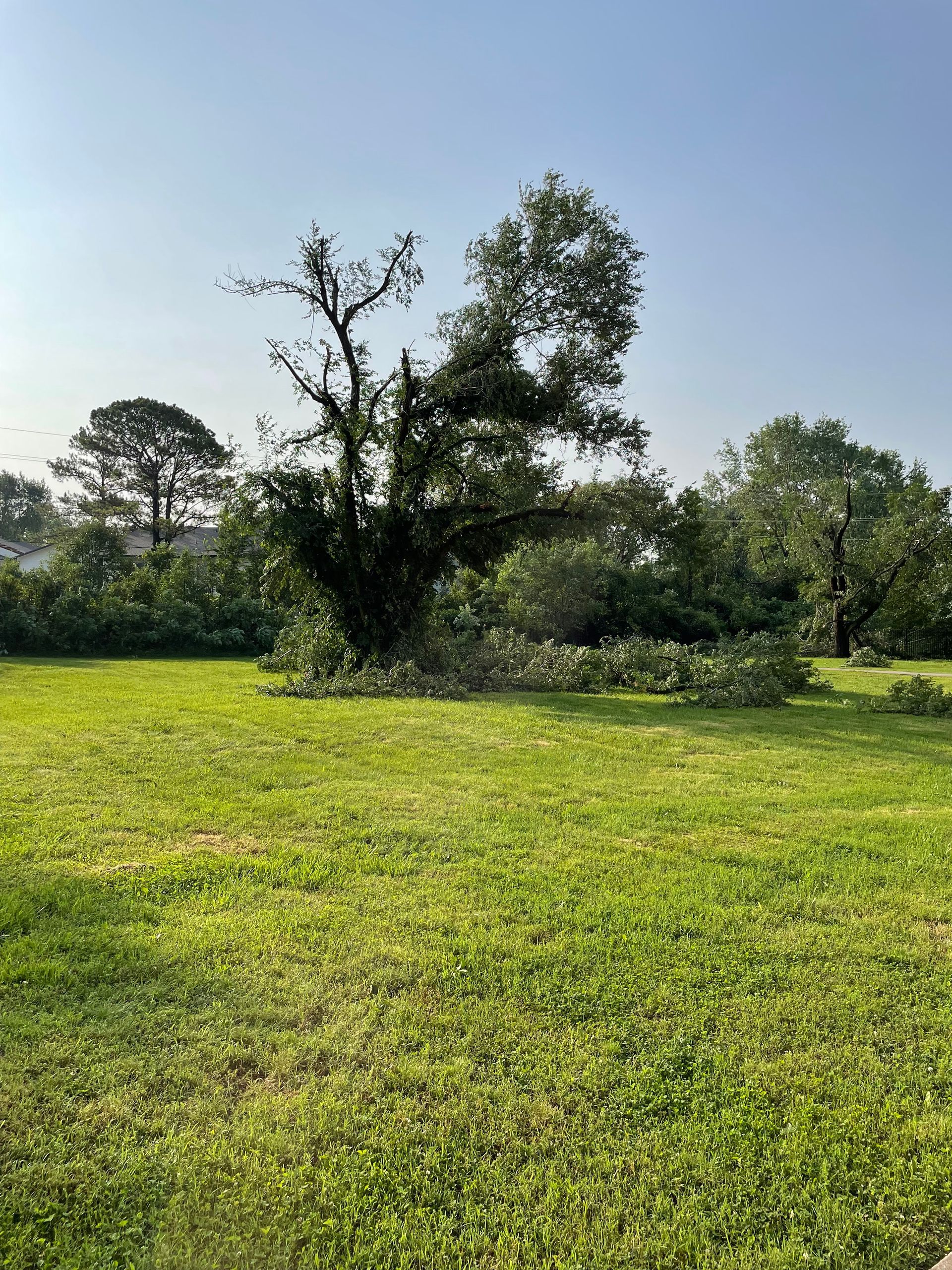 Tornado Damage