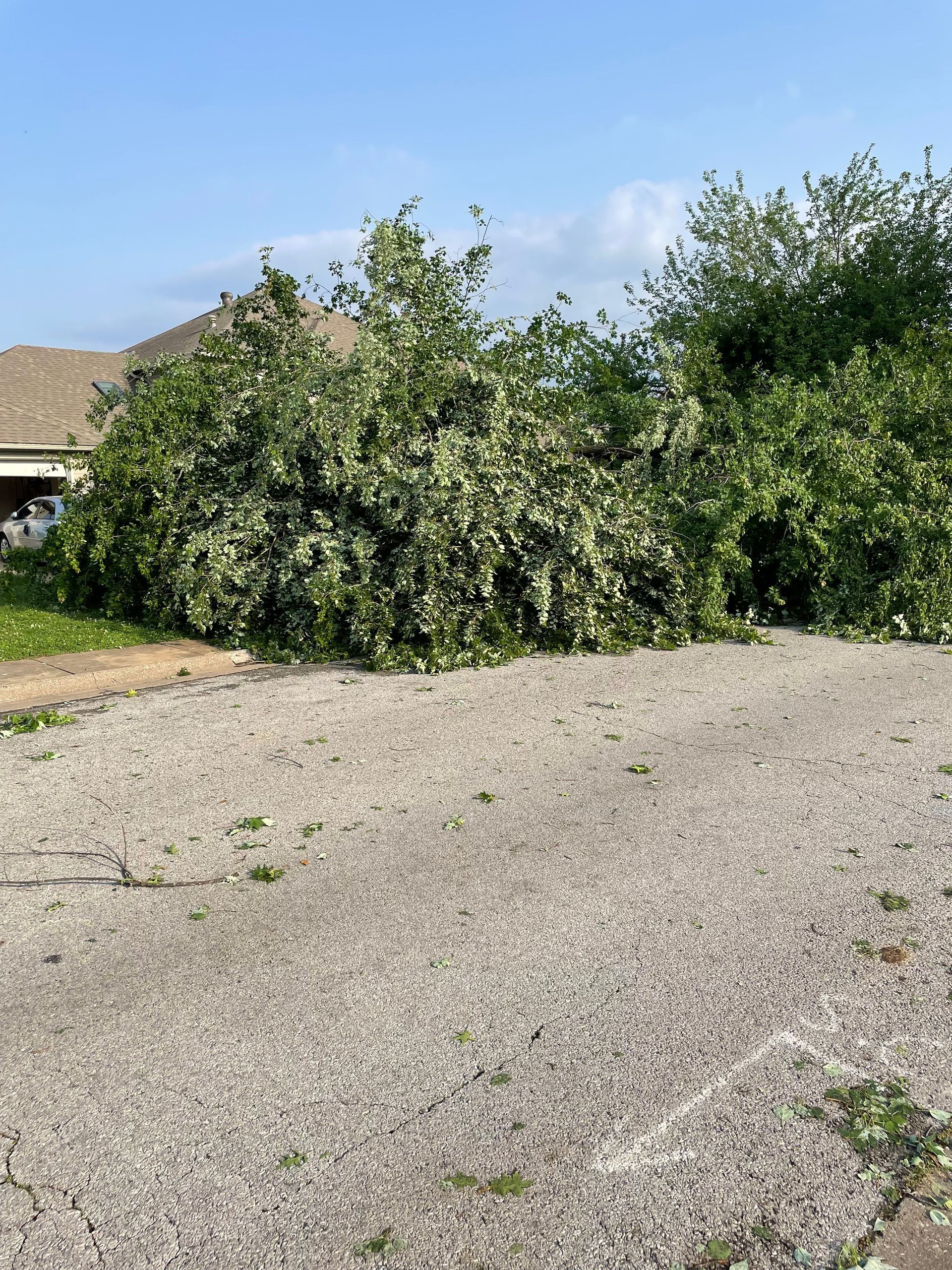 Tornado Damage