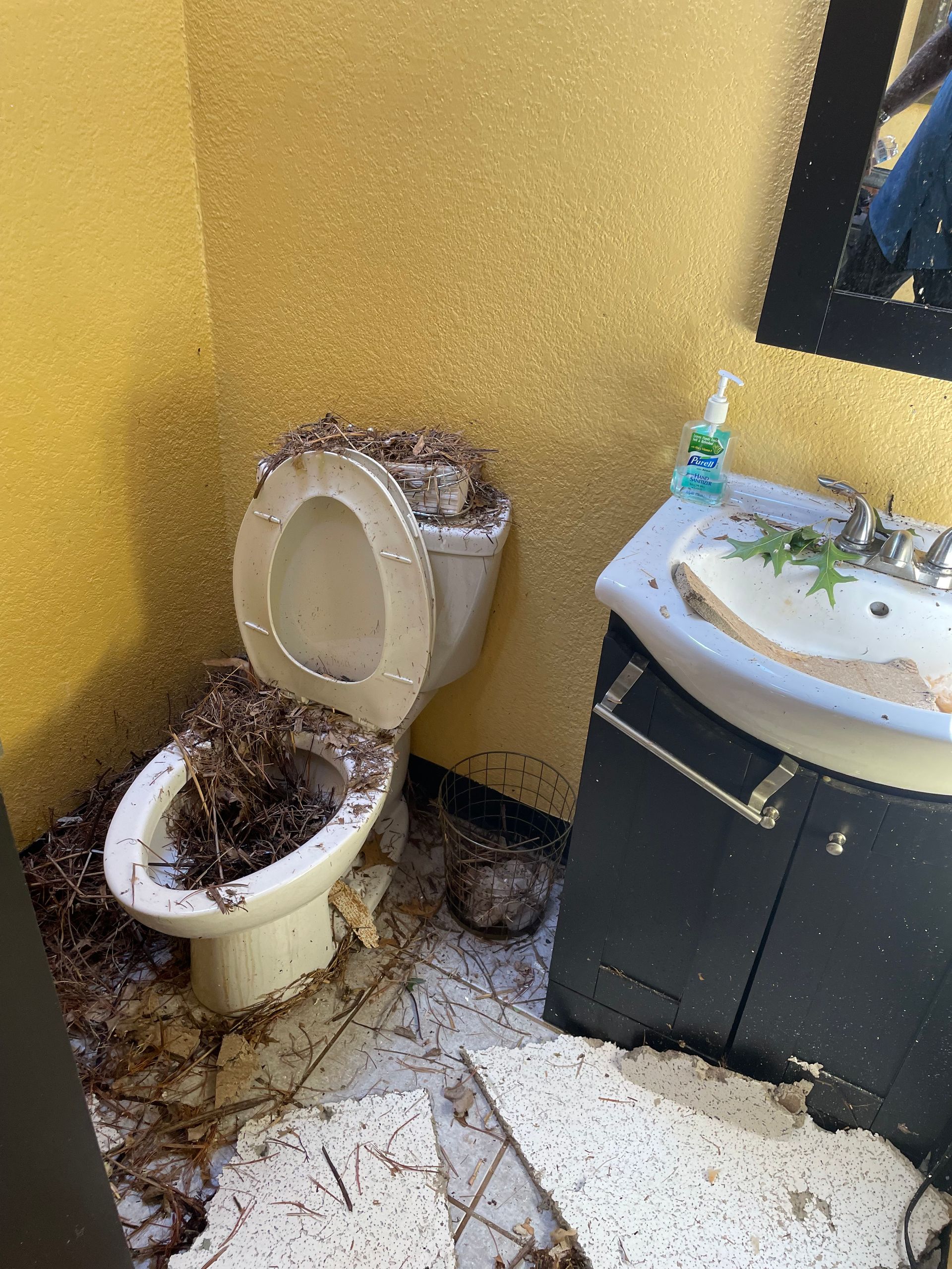 Tornado Damage