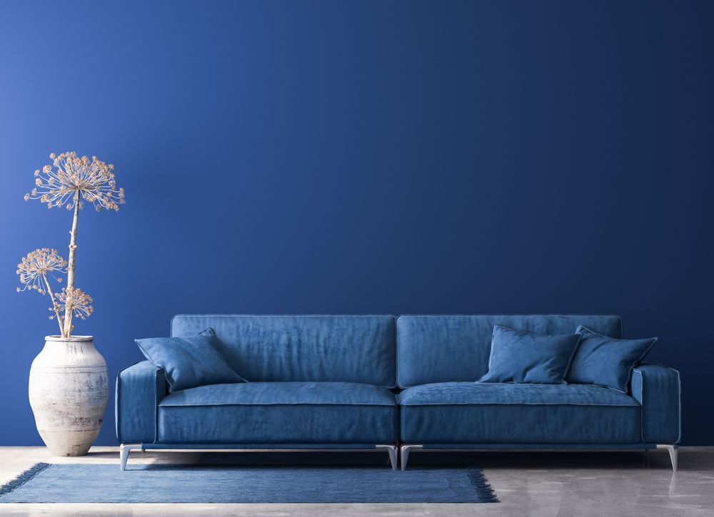 Blue sofa in front of a blue wall with a vase of dried flowers and a blue rug — Jamie Frankham Painting in Bangalow, NSW