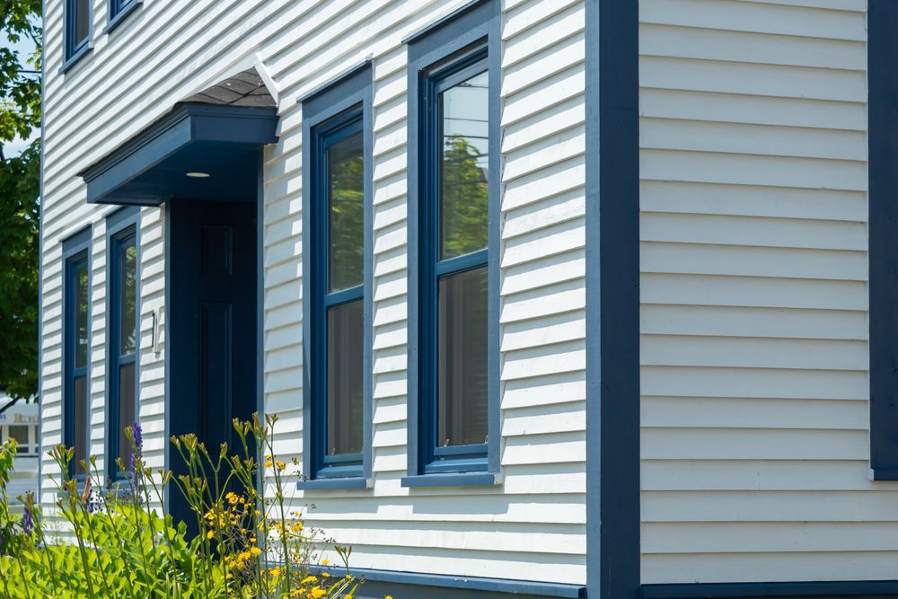 White house with blue trim around windows and doorway, green plants in foreground — Jamie Frankham Painting in Ballina, NSW
