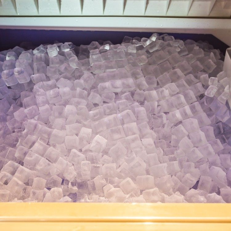 A full storage bin filled with clear, square-shaped ice cubes.