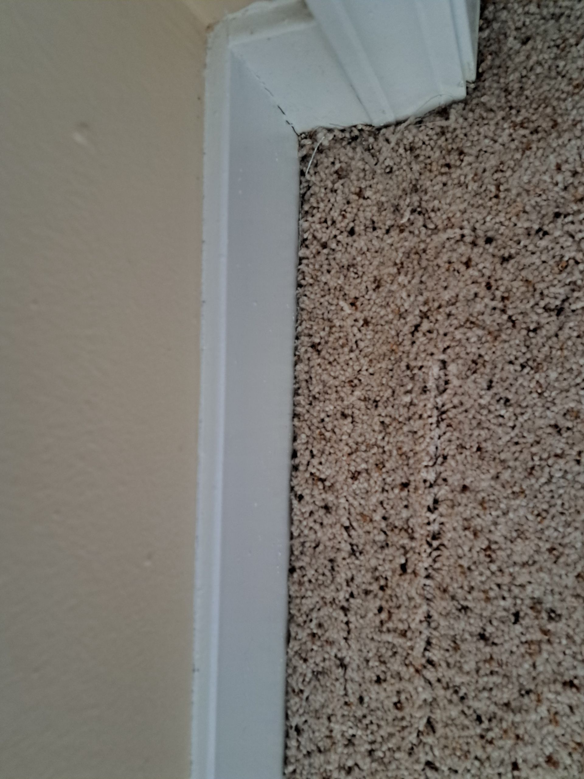 White door frame beside a speckled beige carpet and wall corner