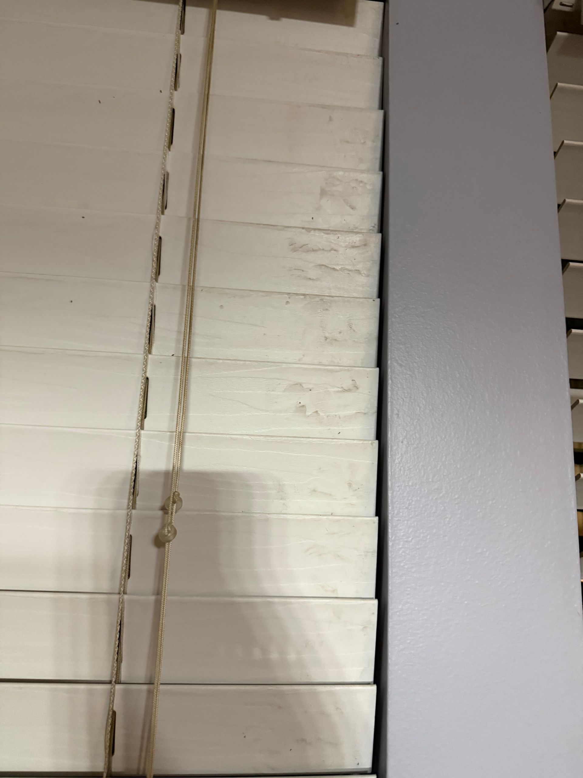 Close-up of beige window blinds beside a gray wall, with cords hanging down.