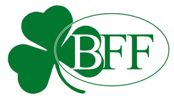 Green shamrock with the letters 