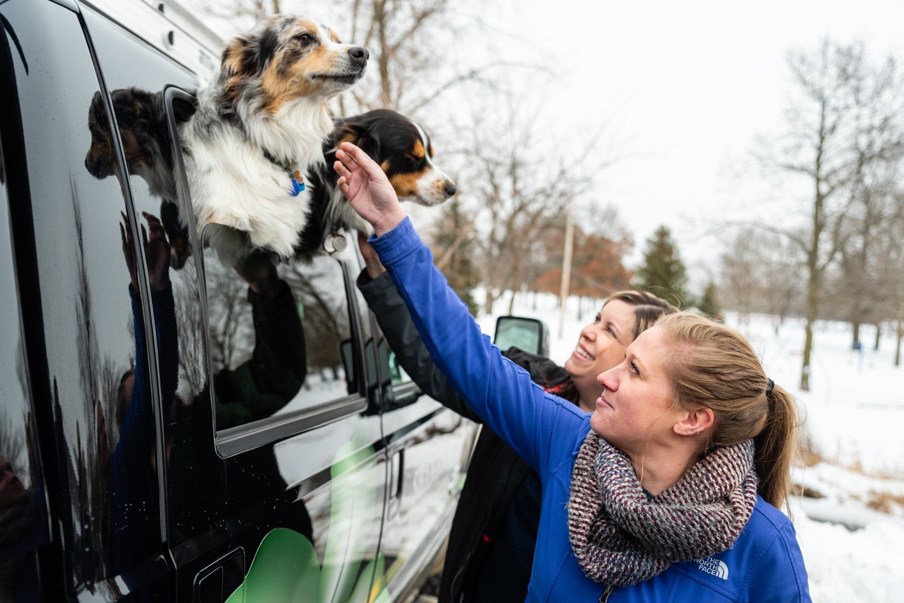 office staff petting dogs in company truck