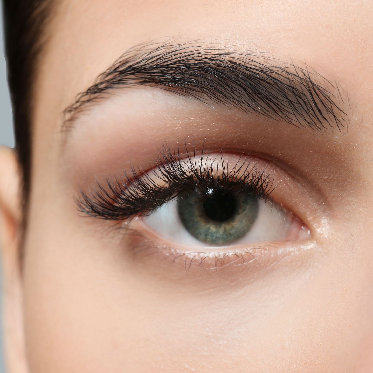 eyelash tint