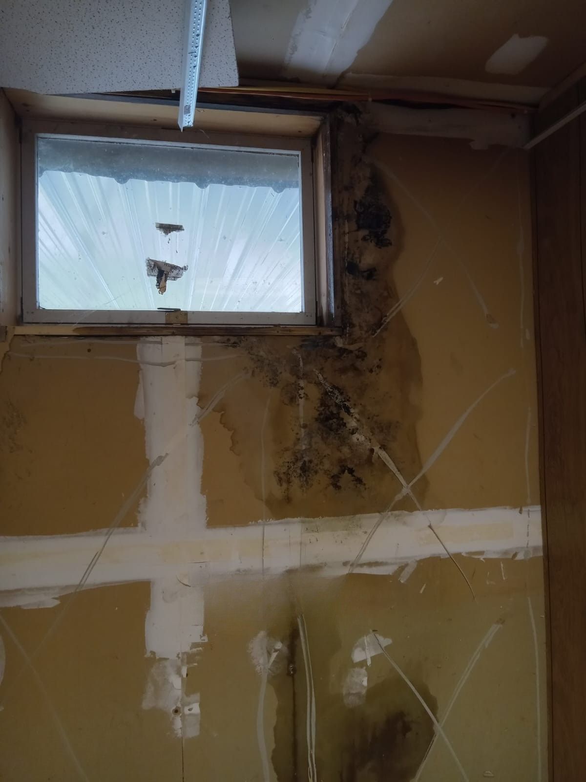Damaged interior wall with water stains, mold, and a small window near the ceiling
