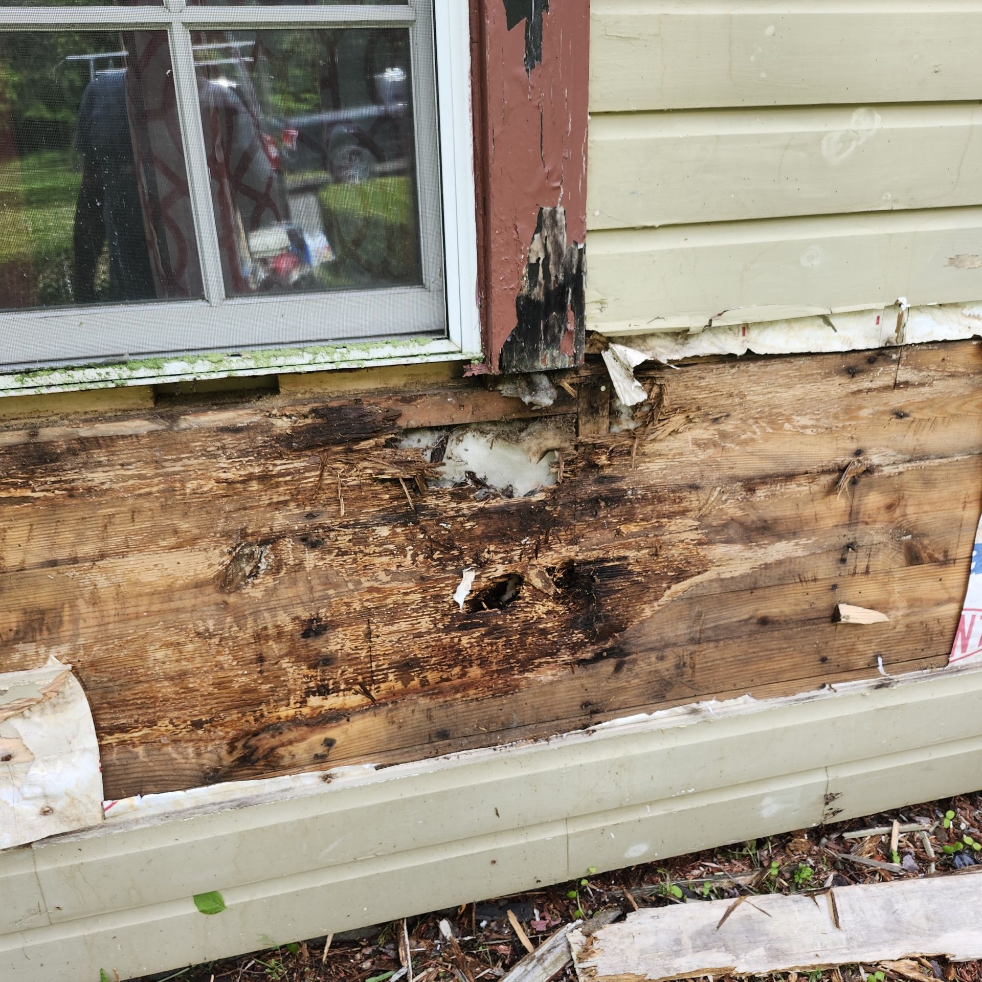 Severely rotted wood siding beneath a window, with peeling paint and water damage.