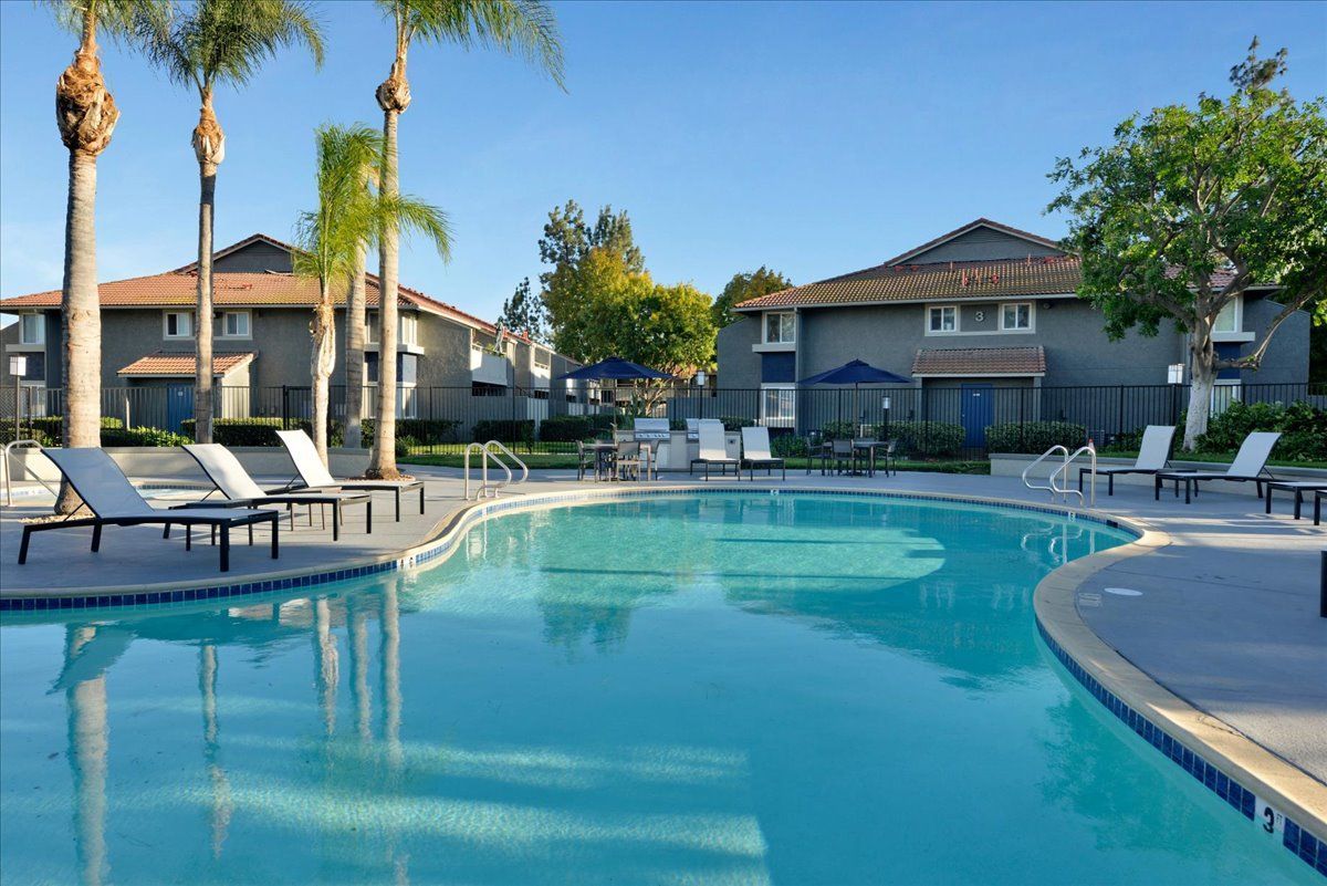A large swimming pool surrounded by lounge chairs and palm trees