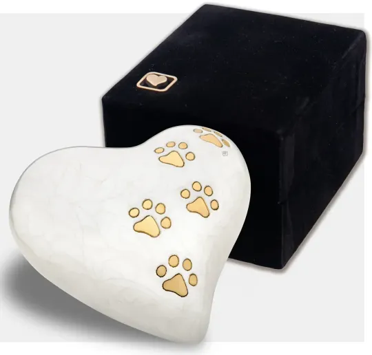 Pet creation product