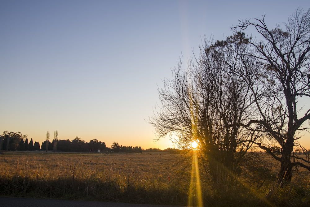 The Sun Is Setting Over A Field With Trees In The Foreground — ARK Plumbing & Gasfitting In Exeter, NSW