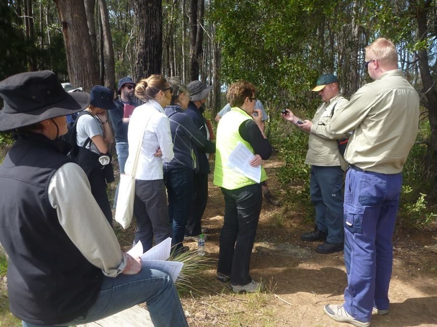 Group of People in the Forest — Lenah Valley, TAS — ECOtas Group of People in the Forest — Lenah Valley, TAS — ECOtas