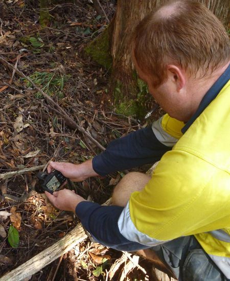 Taking a Picture of Snake — Lenah Valley, TAS — ECOtas Taking a Picture of Snake — Lenah Valley, TAS — ECOtas