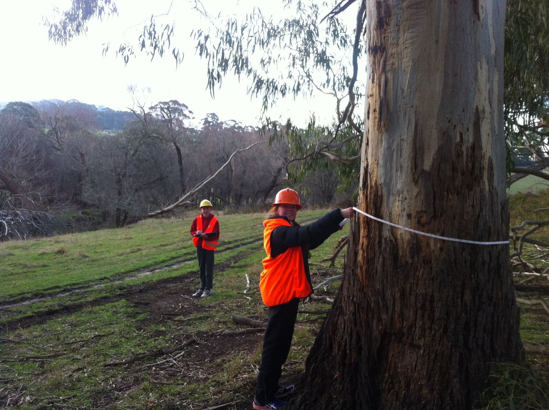 Two People in the Forest — Lenah Valley, TAS — ECOtas Two People in the Forest — Lenah Valley, TAS — ECOtas