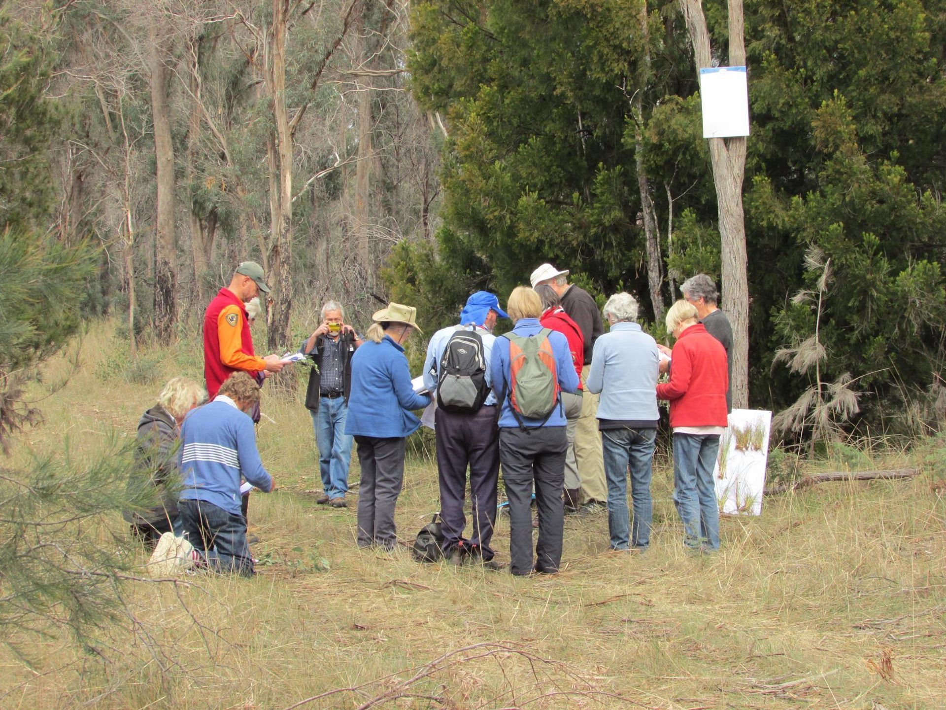 Research Project — Lenah Valley, TAS — ECOtas