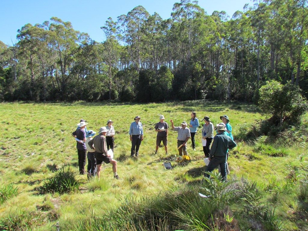 Ecological Experts — Lenah Valley, TAS — ECOtas Ecological Experts — Lenah Valley, TAS — ECOtas