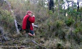 Mark Wapstra in the Forest — Lenah Valley, TAS — ECOtas