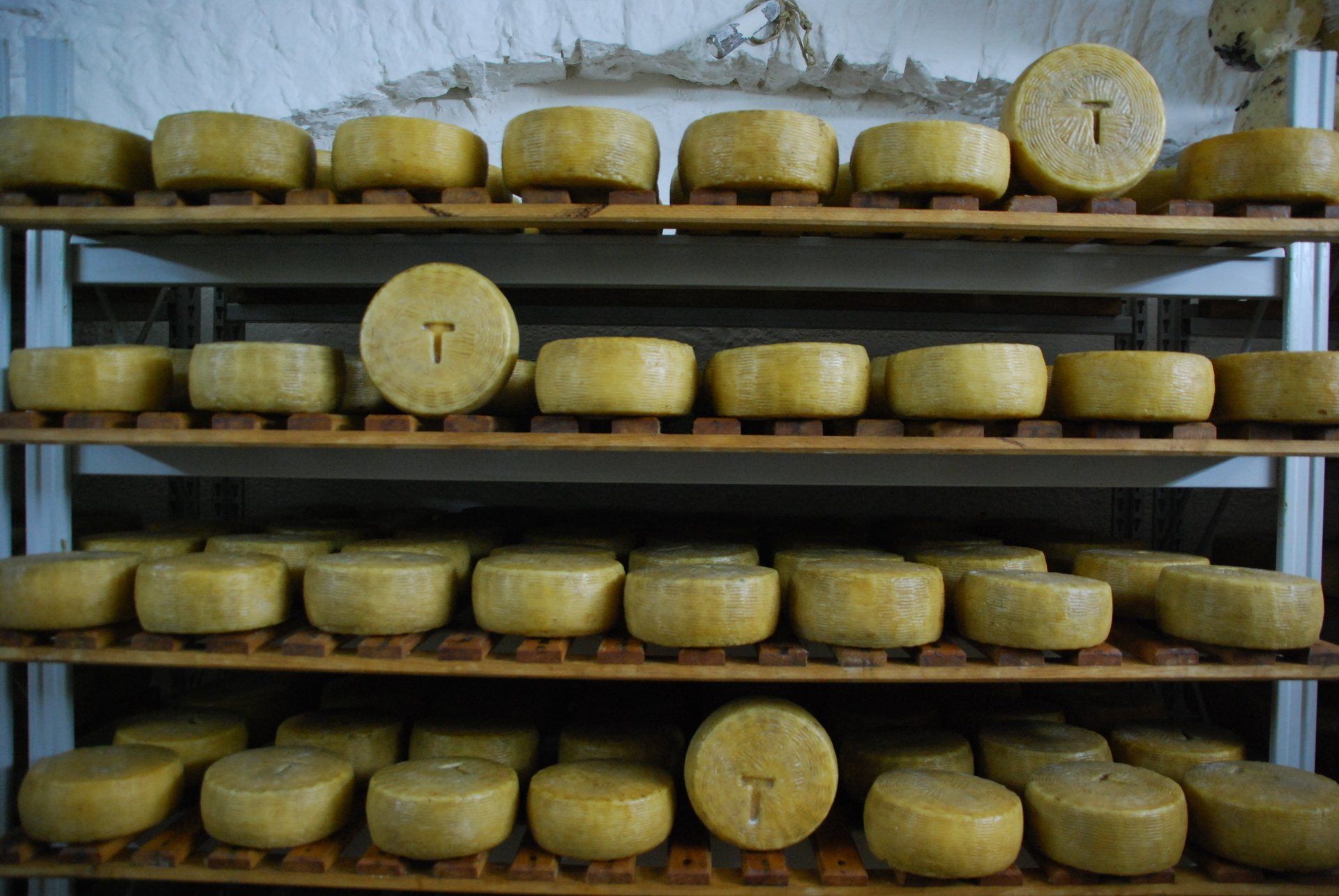 Trotta Sapori pecorino T