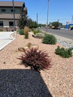 Landscaped desert-style yard with gravel, small shrubs, and a building beside a street on a sunny day