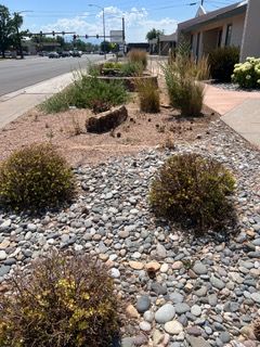 Desert landscaping along a sidewalk beside a road, with rocks, shrubs, and a building in the background.