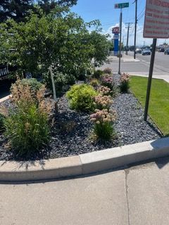 Curved curb with desert plants and gravel landscaping beside a parking lot and street sign.