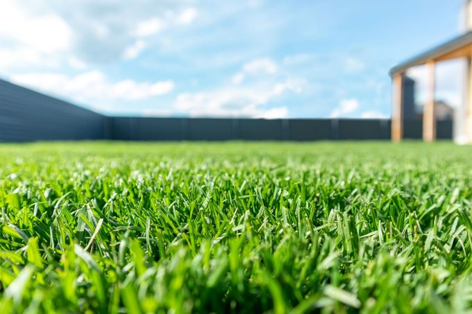 Close-up of green grass on a sunny field with a blurred house and blue sky in the background