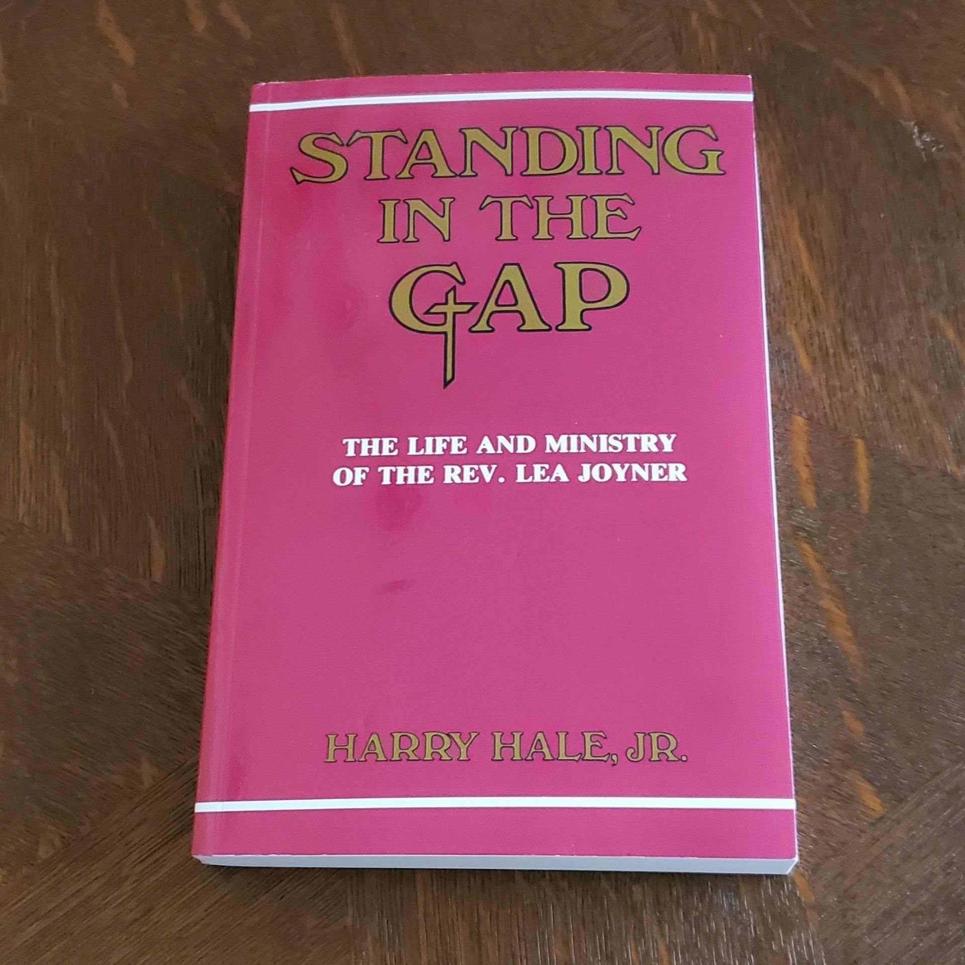 Standing n the Gap cover
