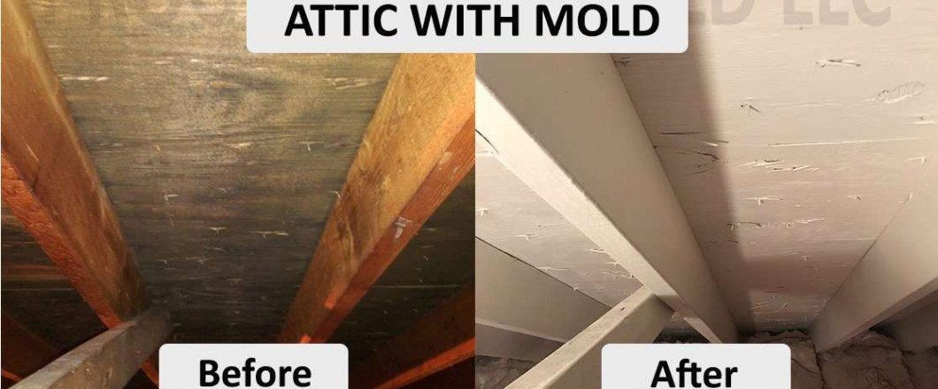 A before and after picture of an attic with mold.