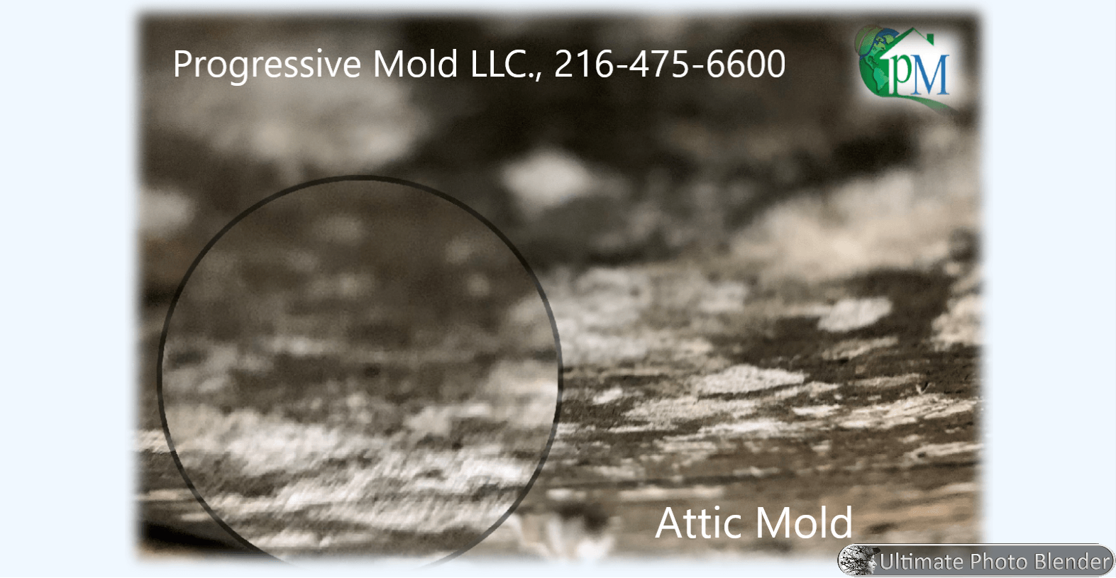 A black and white photo of an attic mold
