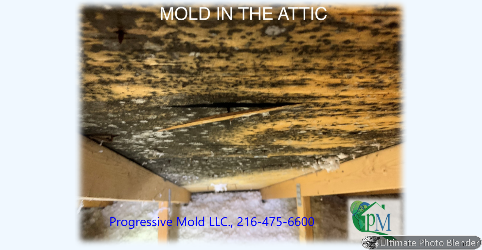A picture of mold in the attic of a house