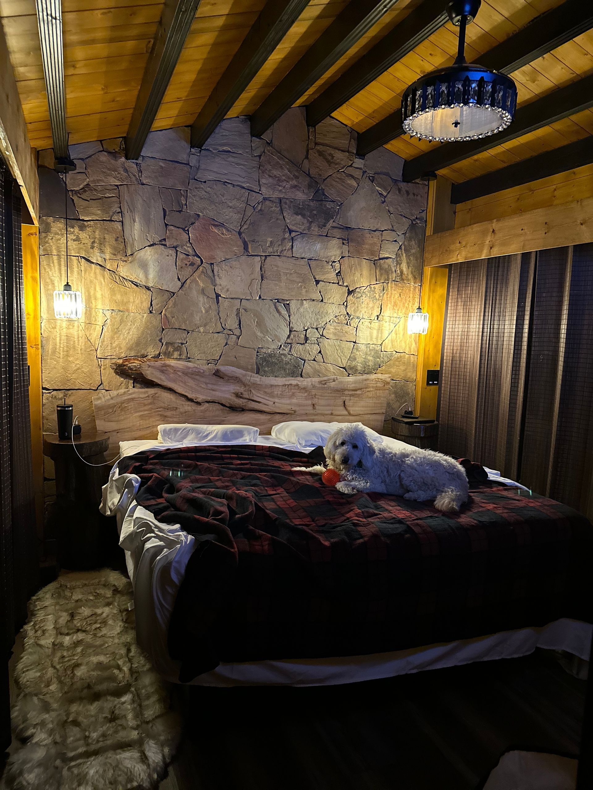 A dog is laying on a bed in a bedroom with a stone wall.