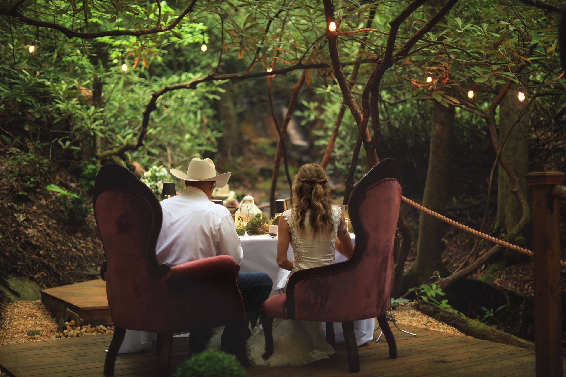 People seated on chairs in a lush garden under string lights, viewed from behind.